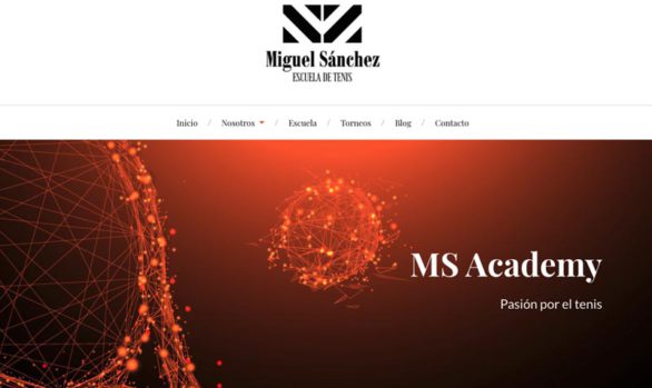 MS Academy